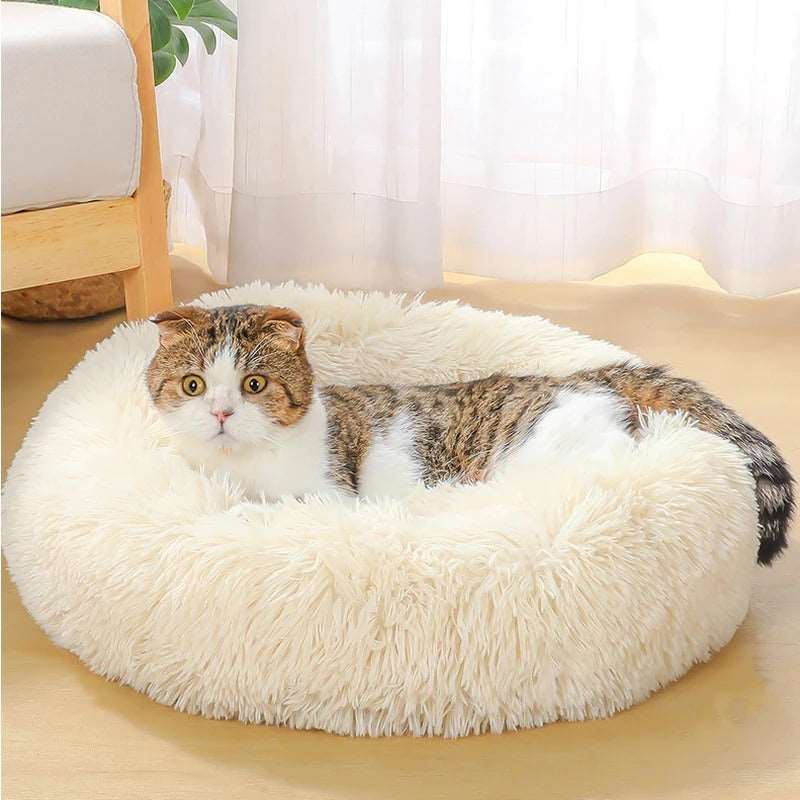 Super Soft Washable Dog Bed | Long Plush Calming Pet Bed for Deep Sleep, Velvet Sofa for Dogs & Cats