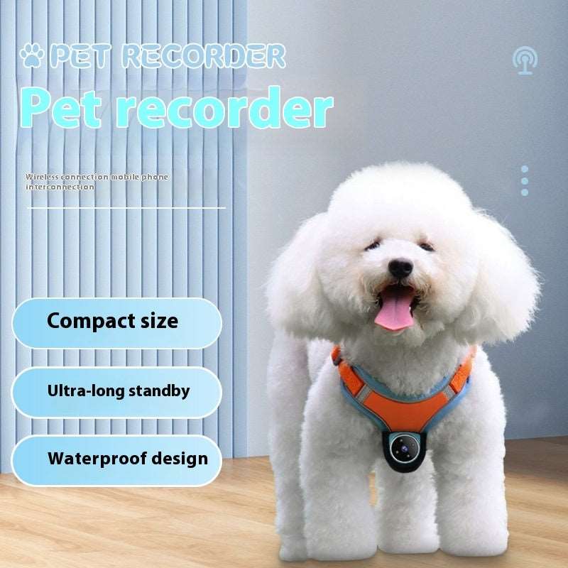 Pet Camera Collar - Motion Recorder & Tracker for Dogs and Cats with Video Recording