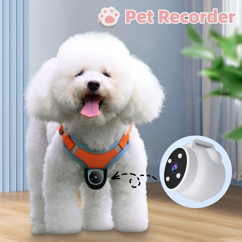 Pet Camera Collar - Motion Recorder & Tracker for Dogs and Cats with Video Recording